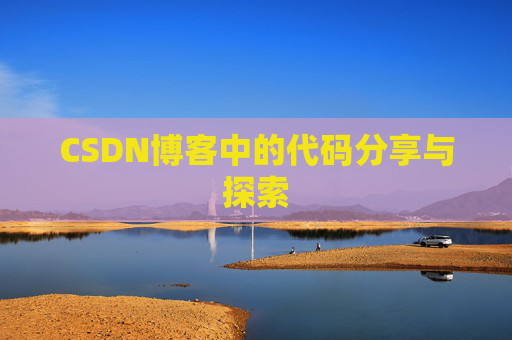 CSDN博客中的代码分享与探索